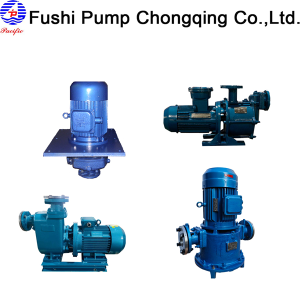 Marine Ballast Water Pump